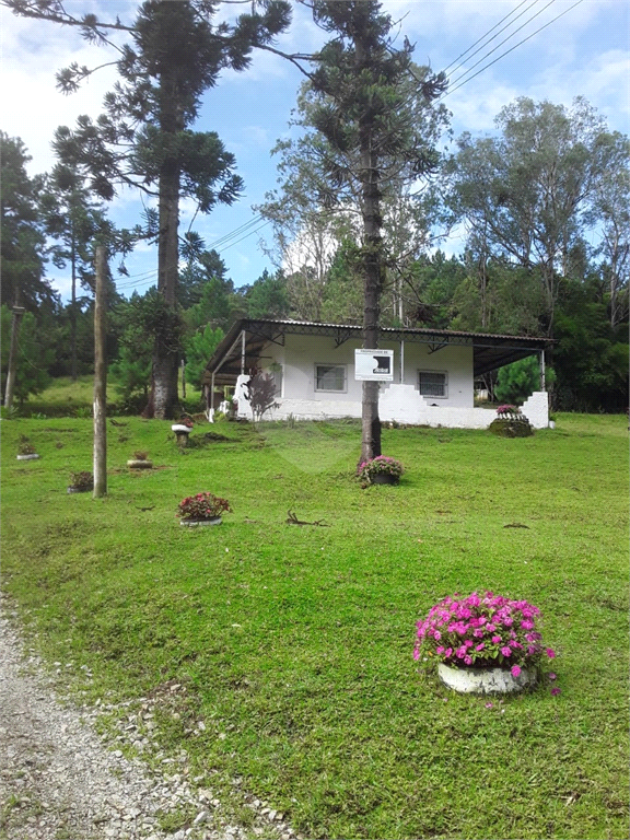 Venda Fazenda Embu-guaçu Zona Rural REO678185 4