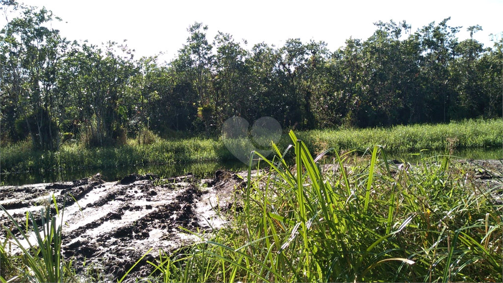 Venda Chácara Itanhaém Jardim Coronel REO678268 14