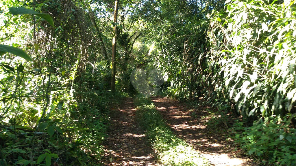 Venda Chácara Itanhaém Jardim Coronel REO678268 13