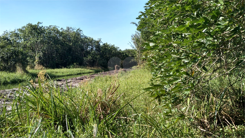 Venda Chácara Itanhaém Jardim Coronel REO678268 1