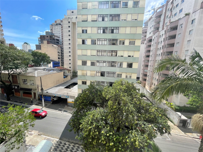 Foto REO678416