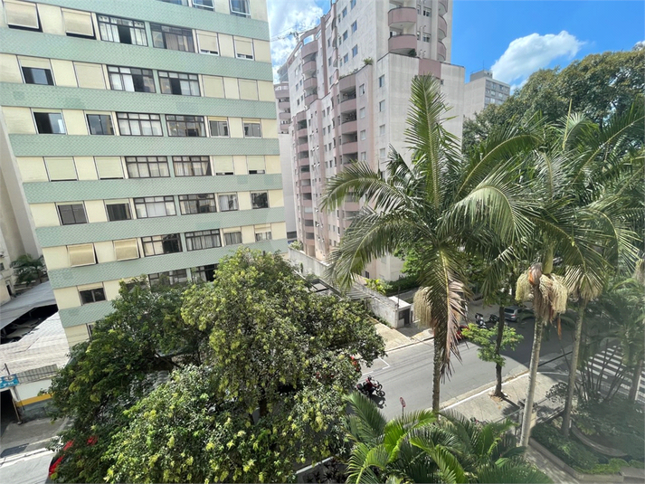 Foto REO678416