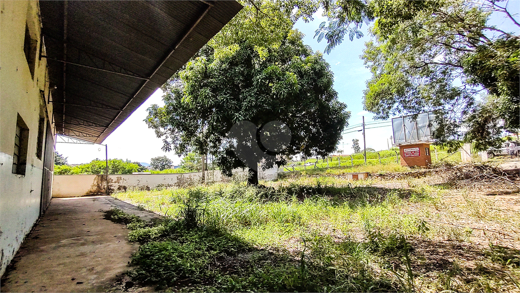 Venda Barracão São João Da Boa Vista Área Rural De São João Da Boa Vista REO678439 11