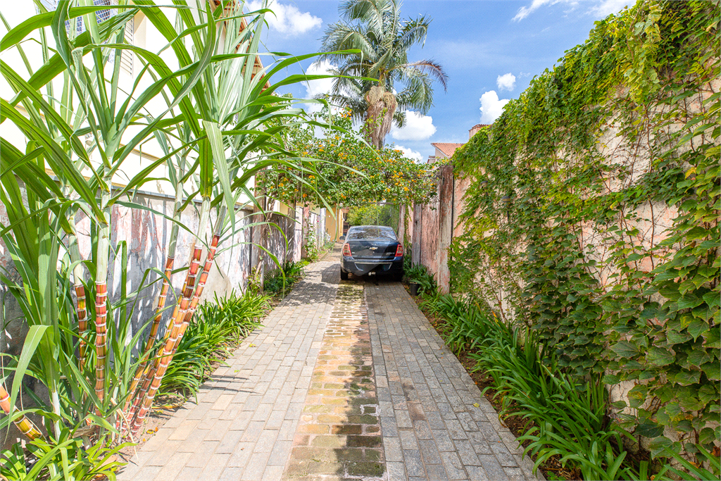 Venda Casa térrea São Paulo Vila Cordeiro REO678604 22