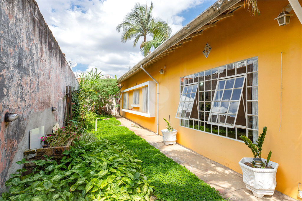 Venda Casa térrea São Paulo Vila Cordeiro REO678604 19