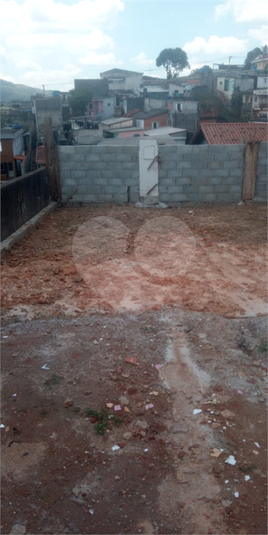 Foto REO678802