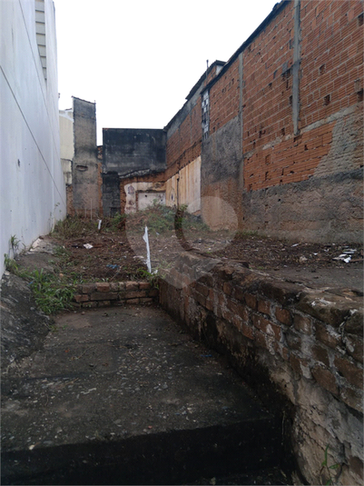 Foto REO678802