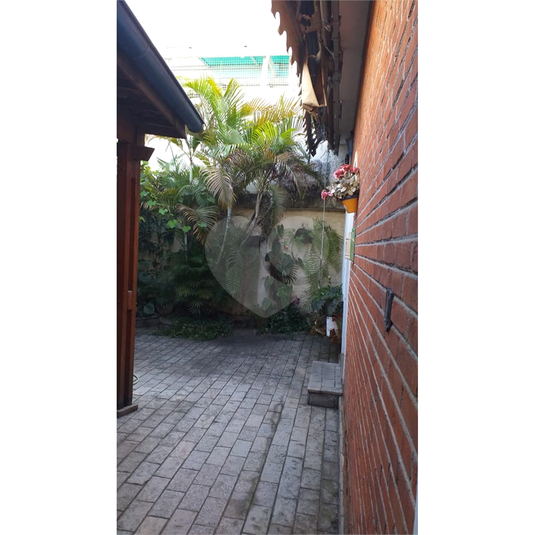 Foto REO679439