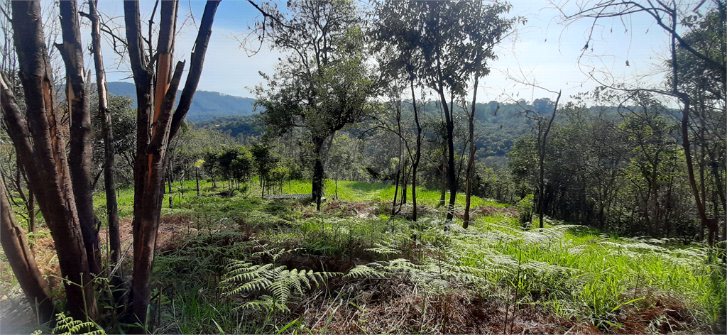 Venda Terreno Mairiporã São Vicente REO679894 15