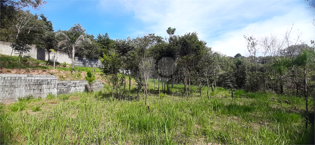 Venda Terreno Mairiporã São Vicente REO679894 8