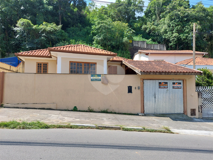 Foto REO679984