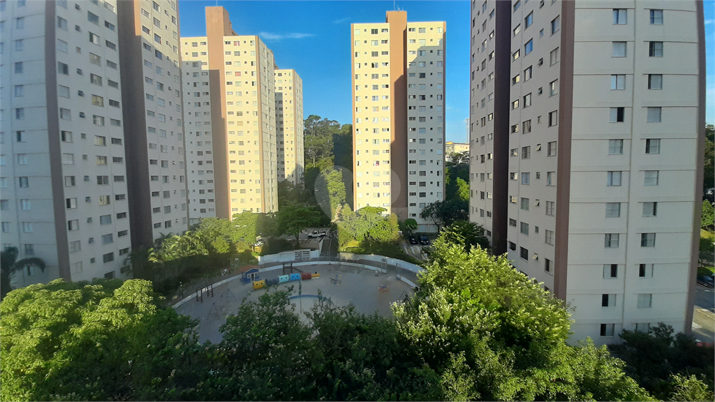 Venda Apartamento São Paulo Jardim Peri REO680067 1