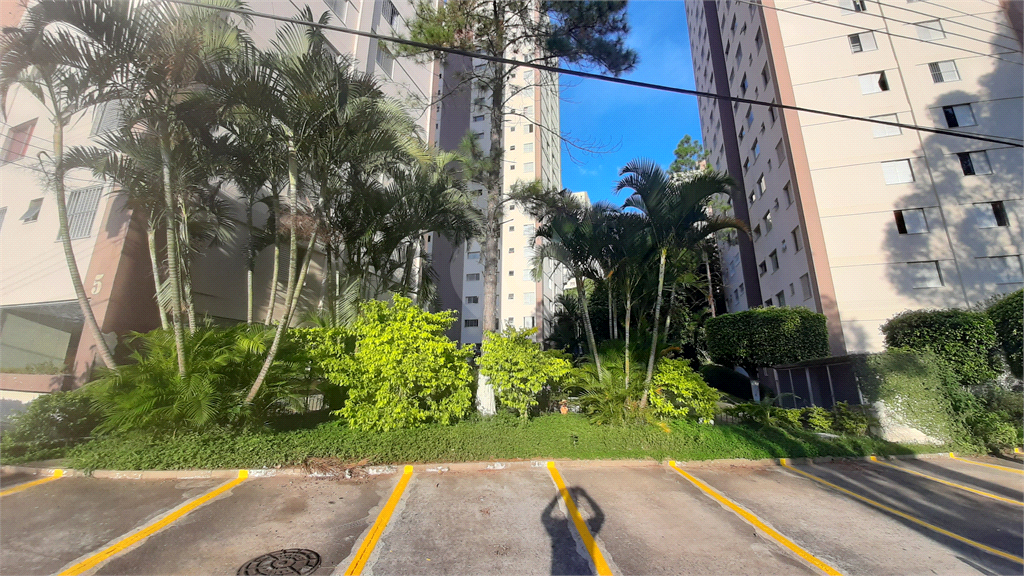 Venda Apartamento São Paulo Jardim Peri REO680067 1