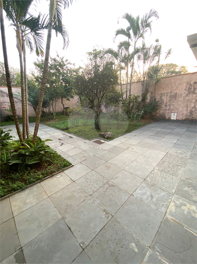 Foto REO680179