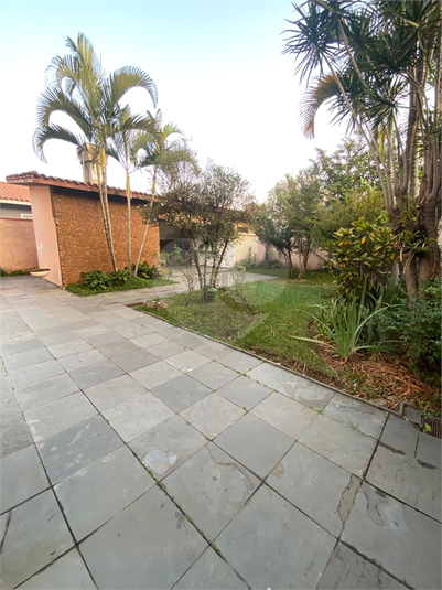 Foto REO680179