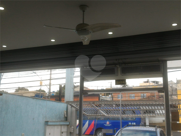 Foto REO680238
