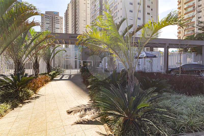 Foto REO680669