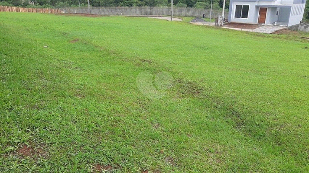 Venda Loteamento Gravataí Loteamento Jardim Timbaúva REO680682 3