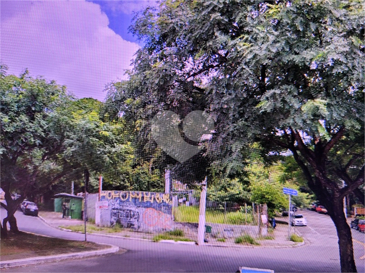 Foto REO680705