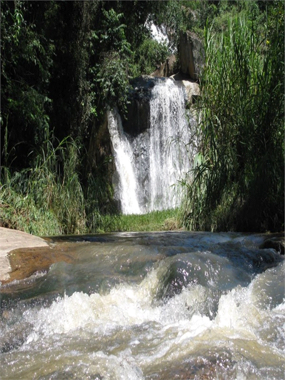 Venda Fazenda Aparecida Centro REO680737 8