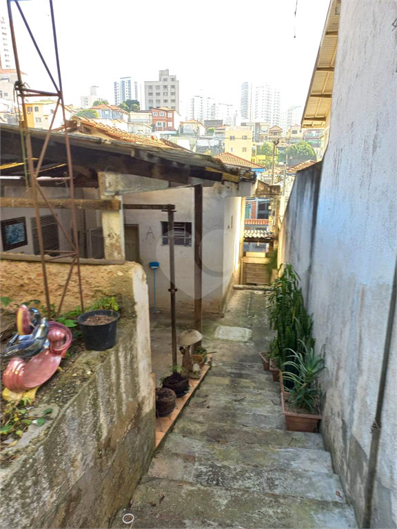 Venda Casa São Paulo Jardim São Paulo(zona Norte) REO681042 9