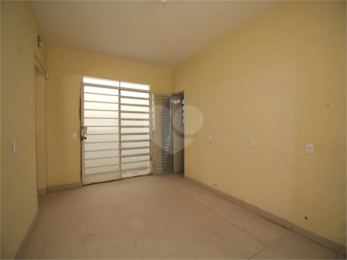 Foto REO681421