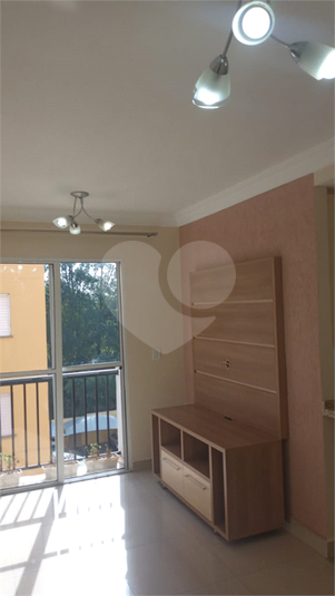 Foto REO681645