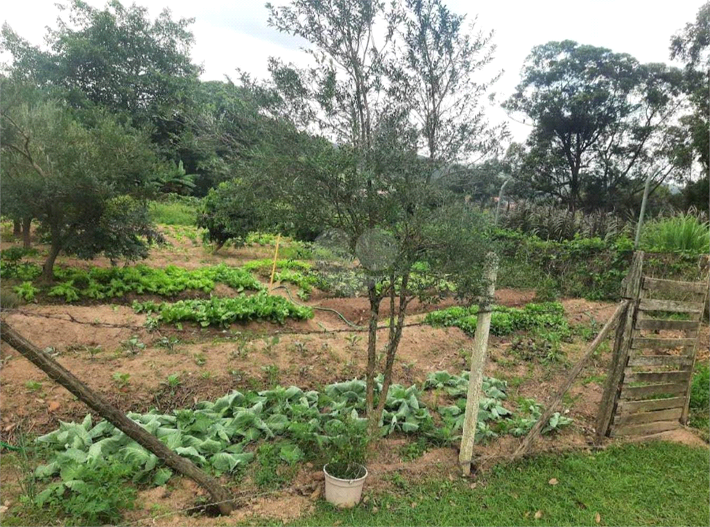 Venda Fazenda Piedade Jardim Sinibaldy REO682044 3