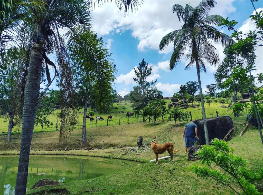 Venda Fazenda Piedade Jardim Sinibaldy REO682044 14