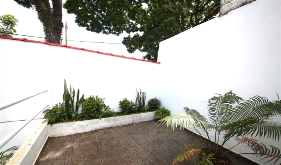 Foto REO682369