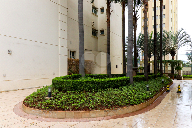 Foto REO682451