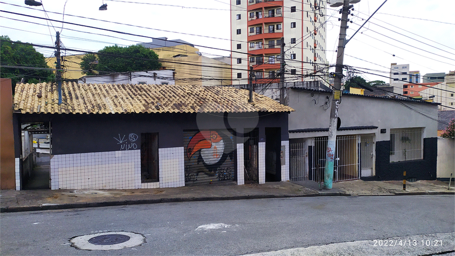 Foto REO682644