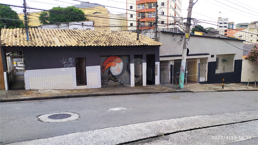 Foto REO682644
