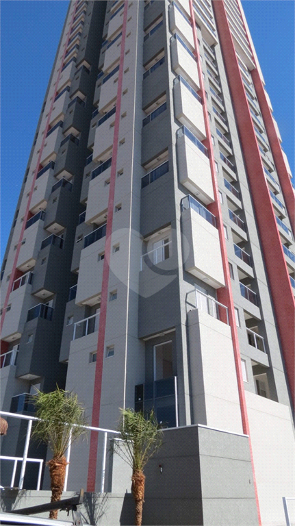 Venda Apartamento Indaiatuba Vila Sfeir REO682709 1