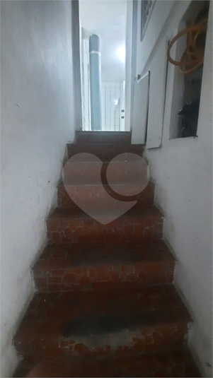 Foto REO682995