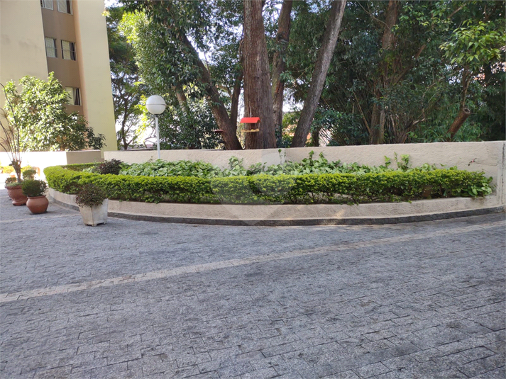 Foto REO683001