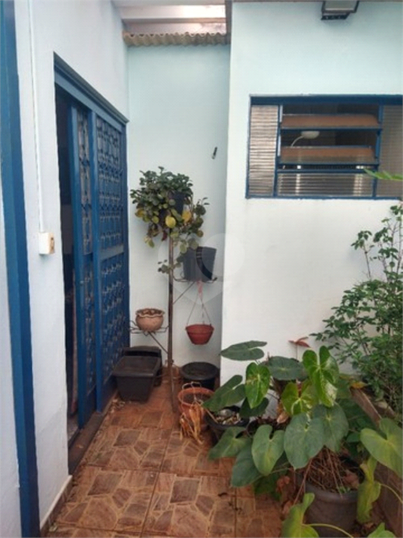 Venda Casa Araraquara Centro REO683219 17