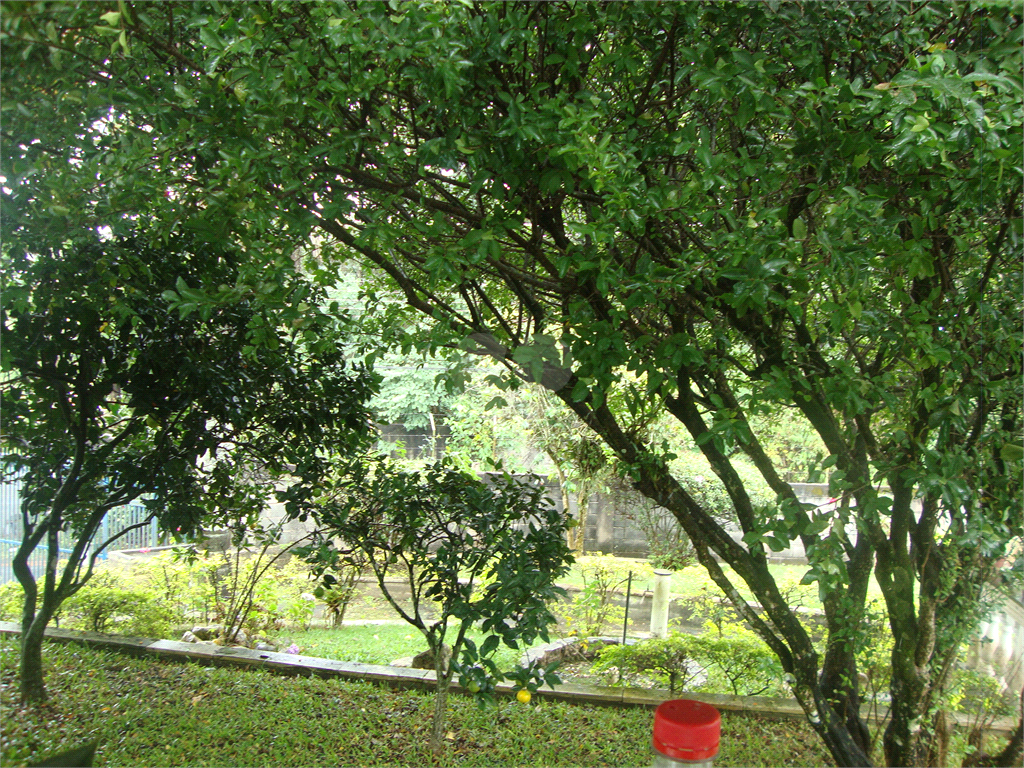 Venda Chácara Arujá Jardim Arujá REO683441 17