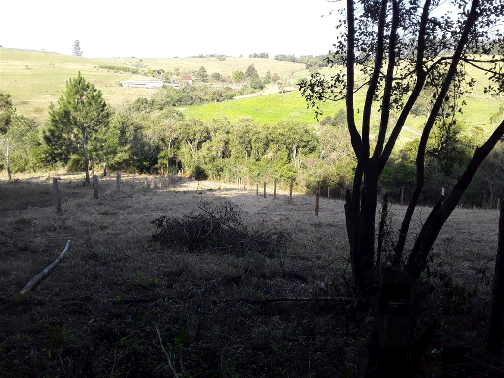 Venda Sítio Taquara Área Rural De Taquara REO683726 5