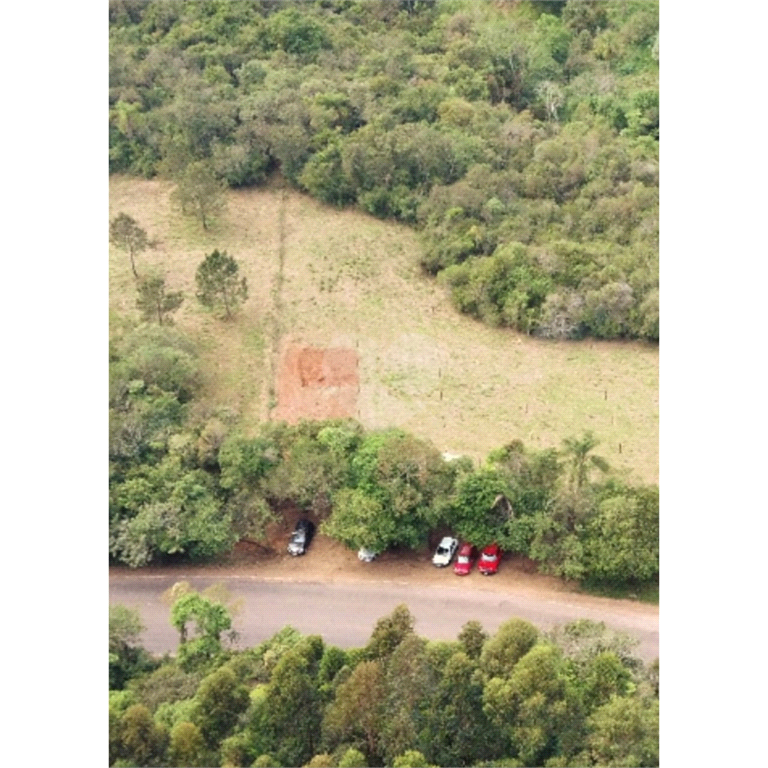 Venda Sítio Taquara Área Rural De Taquara REO683726 3