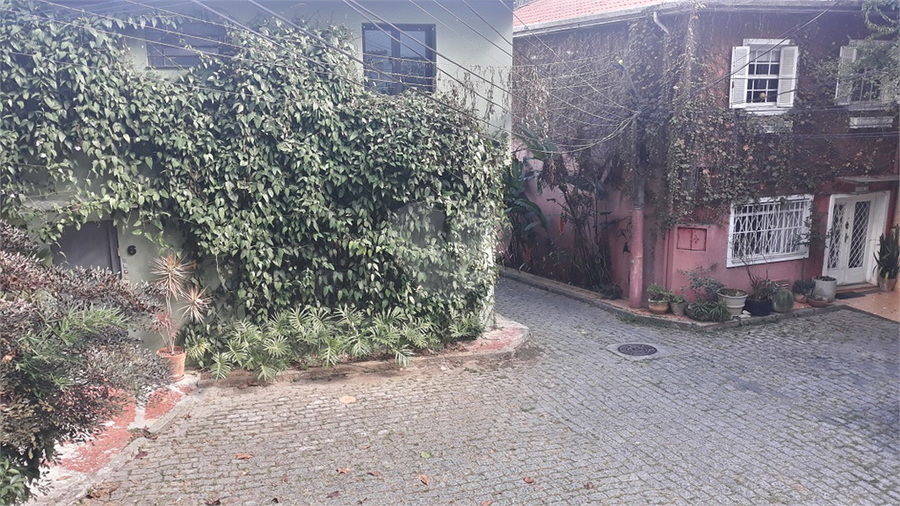 Foto REO683787