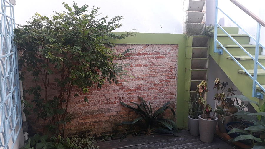 Foto REO683787