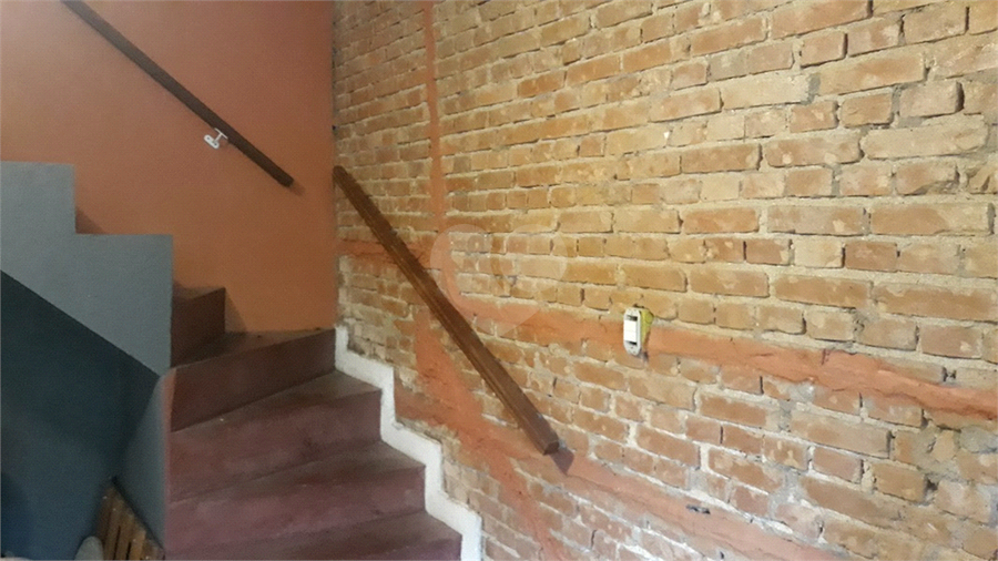 Foto REO683787