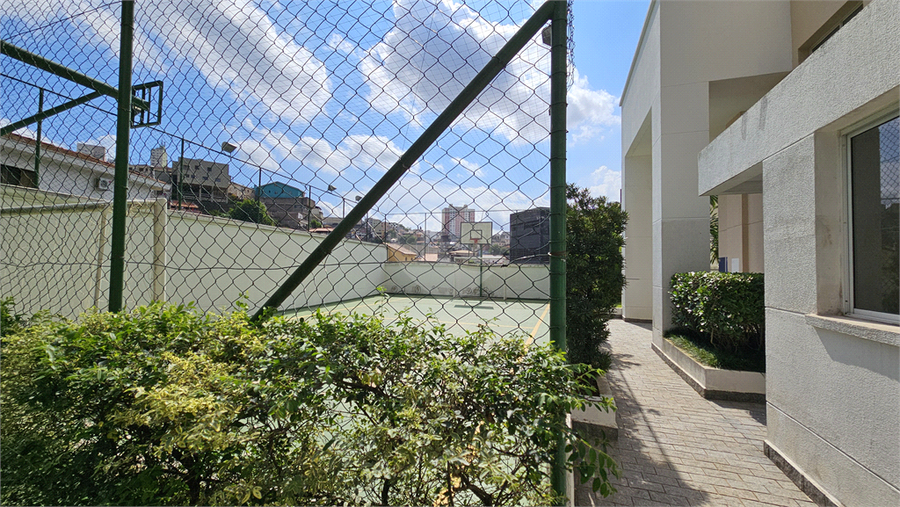 Aluguel Apartamento São Paulo Vila Anglo Brasileira REO684177 25