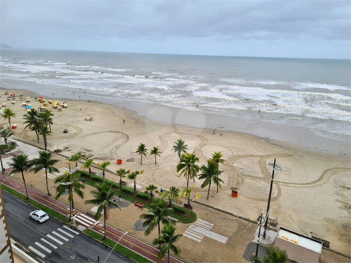 Foto REO684306