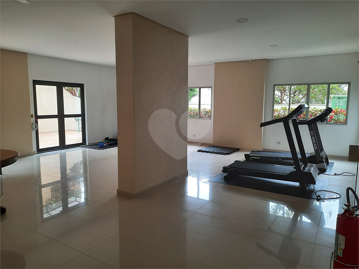 Foto REO684408