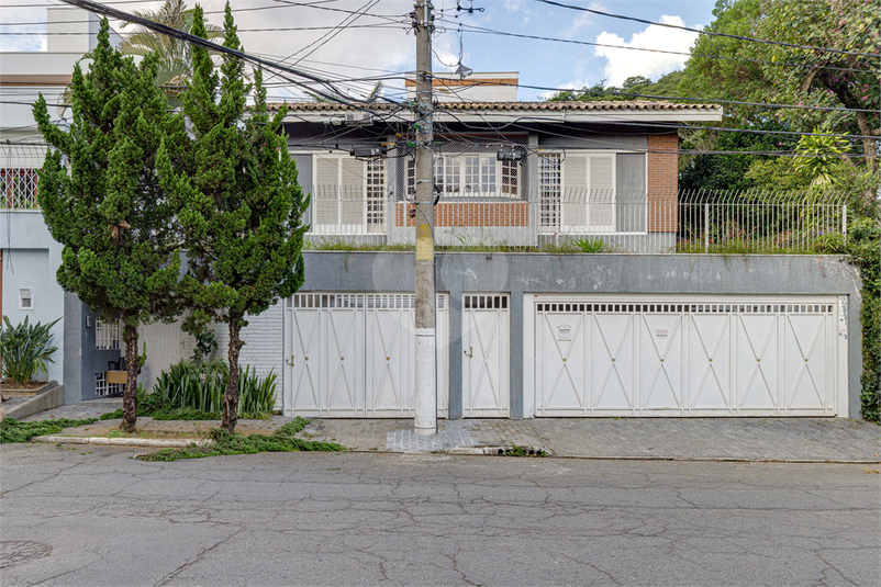 Foto REO68461