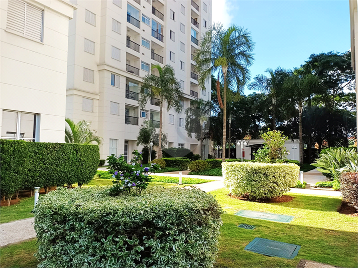 Apartamento, 2 quartos para Alugar Vila Anastácio, São Paulo Lopes