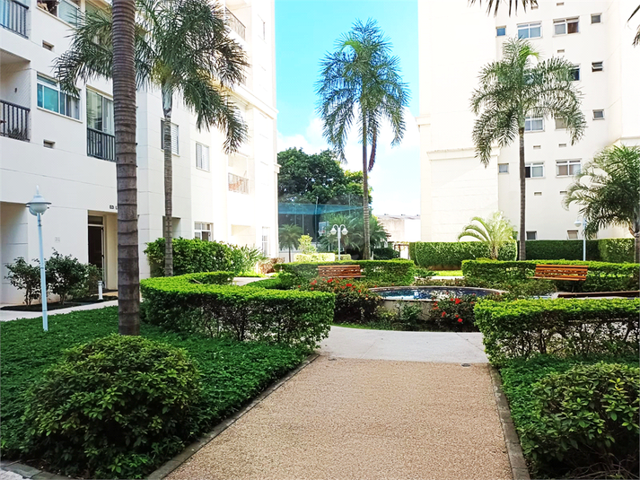 Apartamento, 2 quartos para Alugar Vila Anastácio, São Paulo Lopes