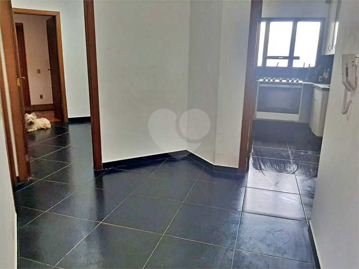 Foto REO685138